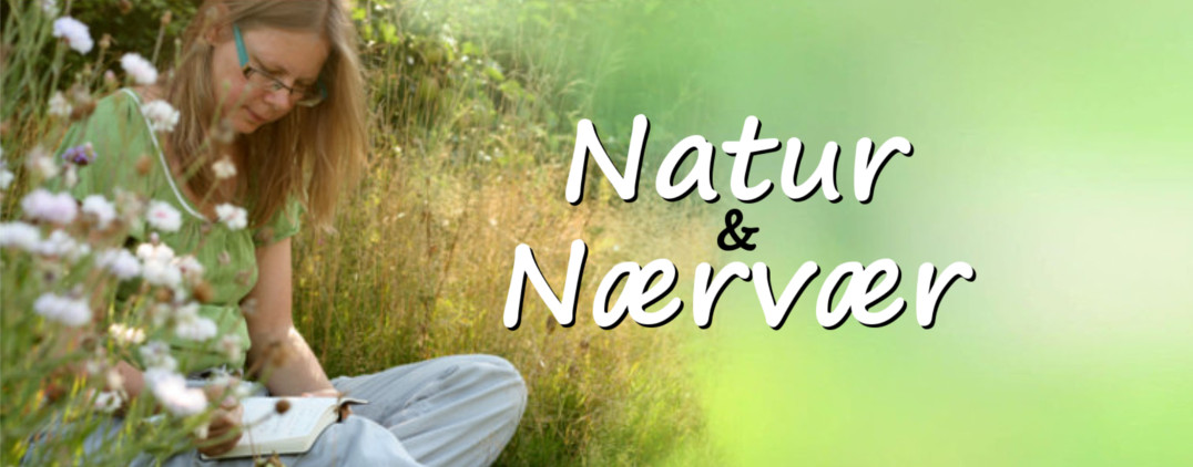 online kursus i mindfulness og naturterapi